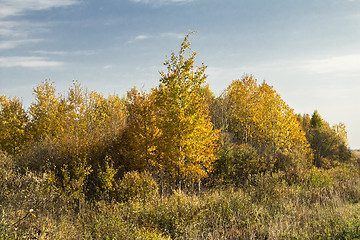 Image showing autumn landscapes