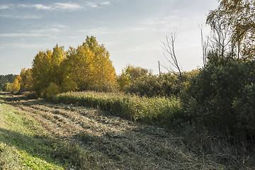 Image showing autumn landscapes