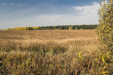 Image showing autumn landscapes