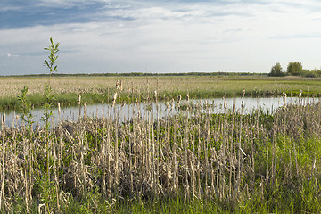 Image showing spring flood.