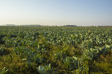 Image showing autumn landscapes