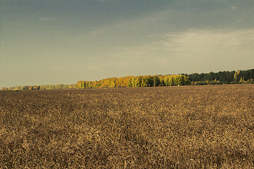 Image showing autumn landscapes