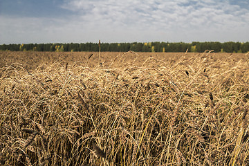 Image showing autumn landscapes