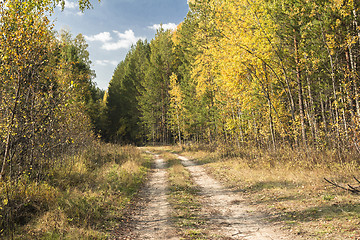 Image showing autumn landscapes