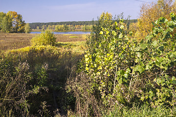 Image showing autumn landscapes