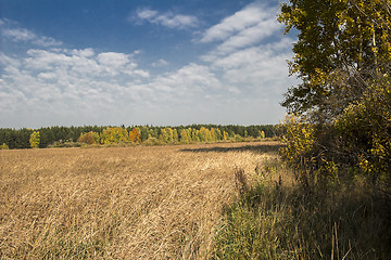 Image showing autumn landscapes