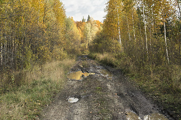 Image showing autumn landscapes