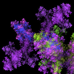 Image showing Colorful bacteria