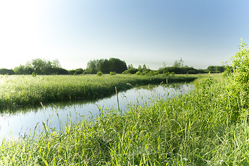 Image showing summer landscape