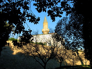 Image showing Mosque through the trees. Nicosia. Cyprus