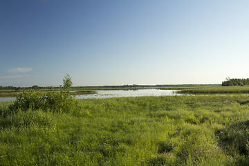 Image showing summer landscape