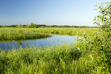 Image showing summer landscape