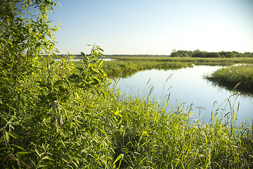 Image showing summer landscape