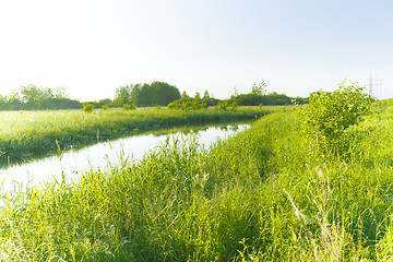 Image showing summer landscape