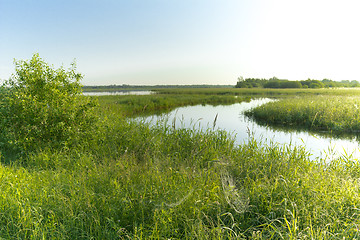 Image showing summer landscape