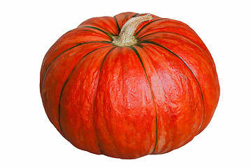 Image showing Pumpkin on white.