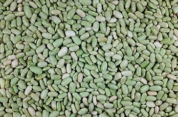 Image showing Green flageolet beans background 