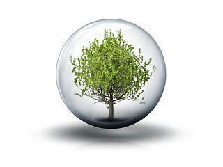 Image showing bubble with a tree