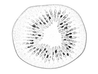 Image showing slices of kiwi