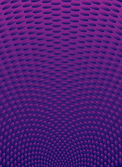 Image showing purple radiate
