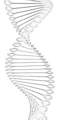 Image showing DNA structure model 