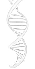 Image showing DNA structure model 