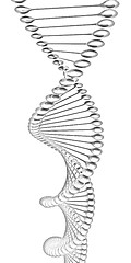 Image showing DNA structure model 