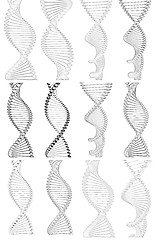 Image showing Set of DNA structure model