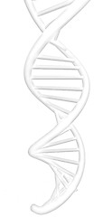 Image showing DNA structure model