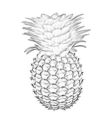 Image showing pineapple