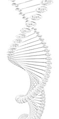 Image showing DNA structure model 