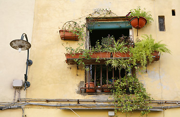 Image showing Balcony Lucca - Tuscany