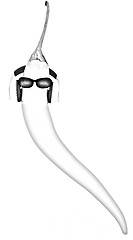 Image showing chili pepper with sun glass and headphones front 