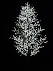 Image showing Artificial tree with white bulbs on branches