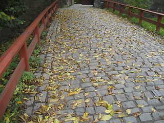 Image showing Old street in autumn, Oslo