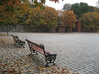 Image showing Quiet day of autumn in Oslo