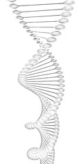 Image showing DNA structure model 