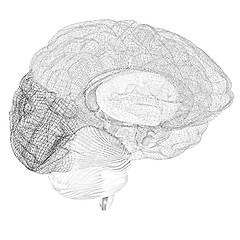 Image showing Creative concept of the human brain