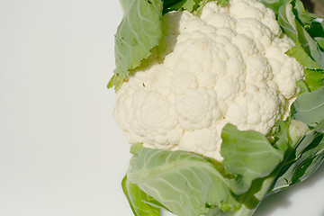 Image showing cauliflower