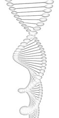 Image showing DNA structure model 