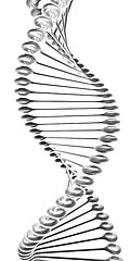 Image showing DNA structure model 