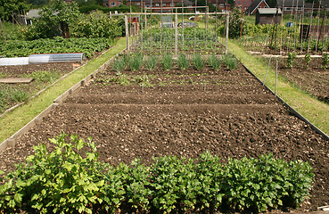 Image showing allotment plot