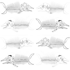 Image showing Set of 3d metall illustration of fish skeleton 