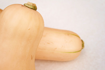 Image showing butternut squash