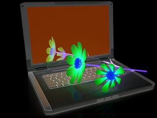 Image showing cosmos flower on laptop