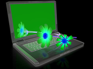 Image showing cosmos flower on laptop