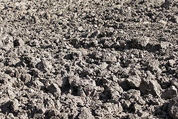 Image showing Arable field with black soil