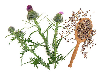 Image showing Milk Thistle Herb