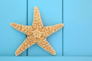 Image showing Starfish