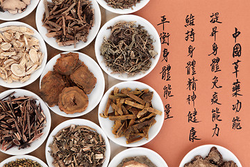 Image showing Chinese Herbal Medicine